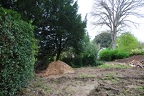 DSC 0159